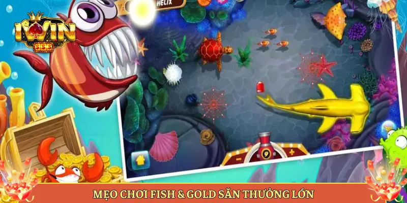 Mẹo Chơi Fish & Gold Săn Thưởng Lớn