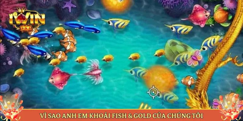 Vì Sao Anh Em Khoái Fish & Gold Của Chúng Tôi