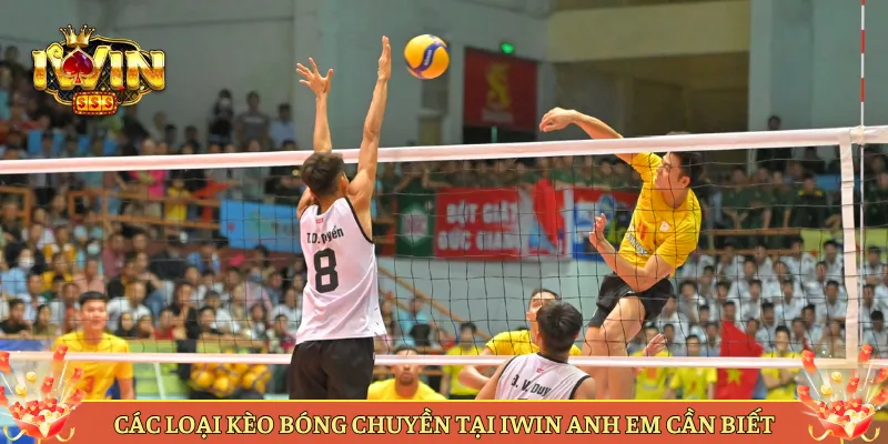 Các Loại Kèo Bóng Chuyền Tại Iwin Anh Em Cần Biết