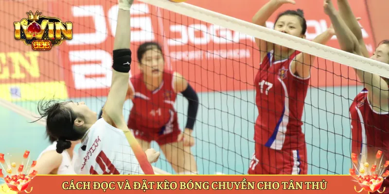 Cách Đọc Và Đặt Kèo Bóng Chuyền Cho Tân Thủ