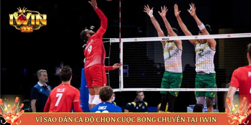 Vì Sao Dân Cá Độ Chọn Cược Bóng Chuyền Tại Iwin