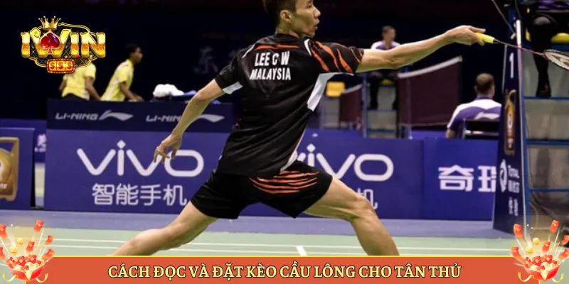 Cách Đọc Và Đặt Kèo Cầu Lông Cho Tân Thủ